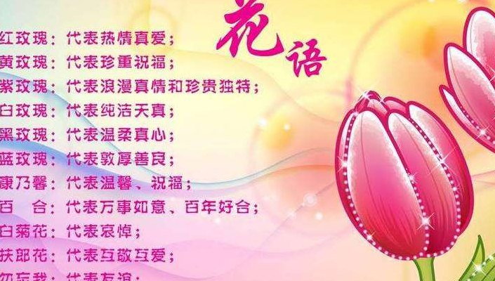 所有花的花语大全（各种花的花语和寓意）