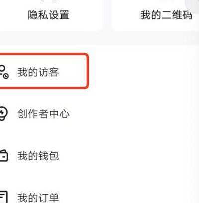 快手能看到访客记录吗（快手能看到访客记录吗2022）
