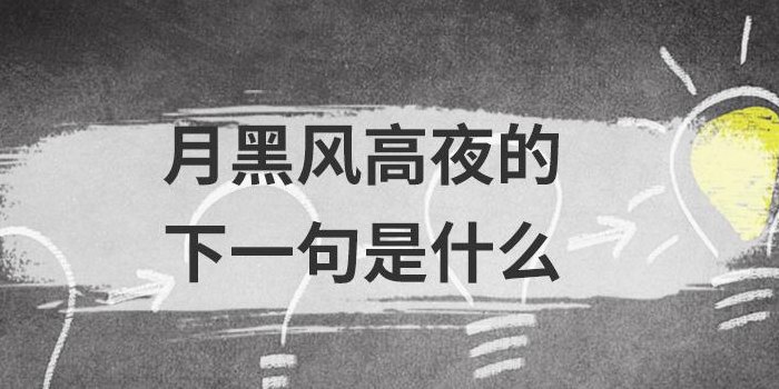 夜黑风高夜下一句搞笑（夜黑风高夜下一句怎么说）