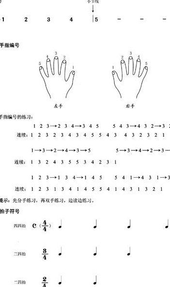 自学电子琴（自学电子琴难吗）