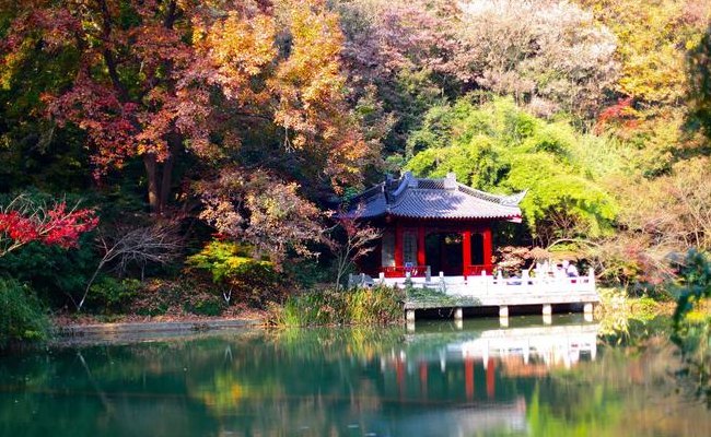 栖霞山风景区（栖霞山风景区旅游攻略山东）