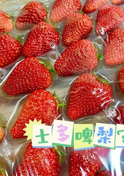 士多啤梨和草莓的区别（士多啤梨的梗）
