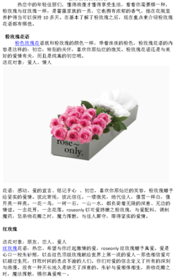 23朵玫瑰花代表什么意思（11朵粉玫瑰花代表什么意思）