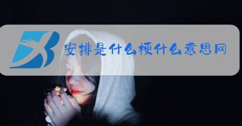 网络语安排是什么意思（安排的网络意思）