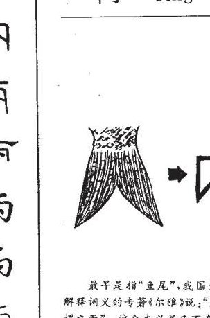 掰弯是什么意思（掰弯是什么样的意思）