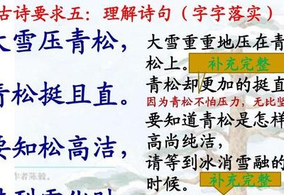 青松的品质（青松的品质和精神借物喻人）