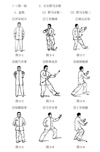 简式太极拳24式名称（简式太极拳24式名称及分解）