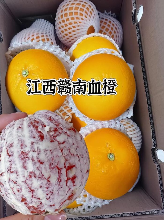 假血橙图片（血橙可以做假吗）
