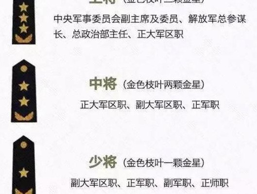 文职将军（文职将军军衔肩章图解）