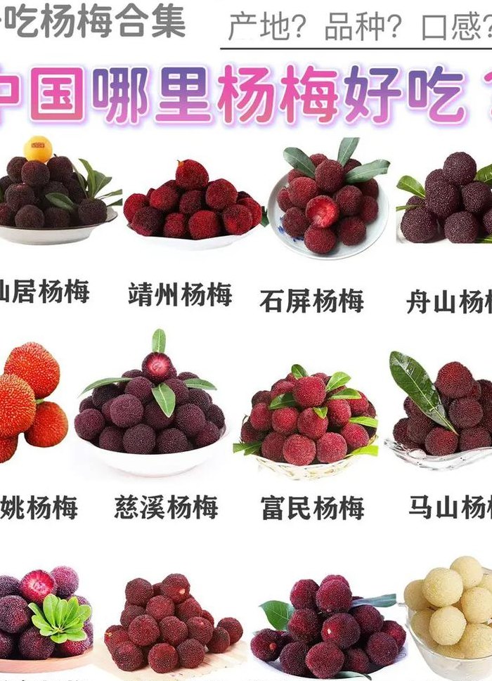 杨梅的保存方法（杨梅的保存方法及保存时间）