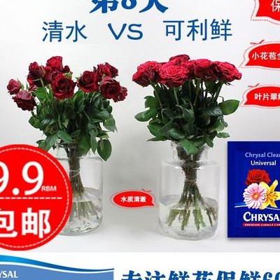 鲜花保鲜（鲜花保鲜剂一般可以保多长时间）