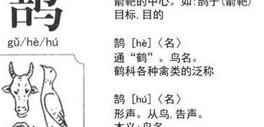 鸿鹄是什么鸟（鸿鹄是什么鸟的拼音）