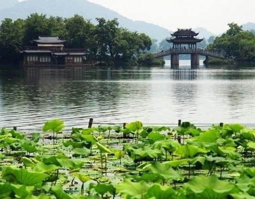 西湖风景区（西湖风景区面积）