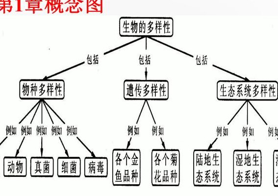 生物圈的概念（生物圈的概念是什么七年级上册）