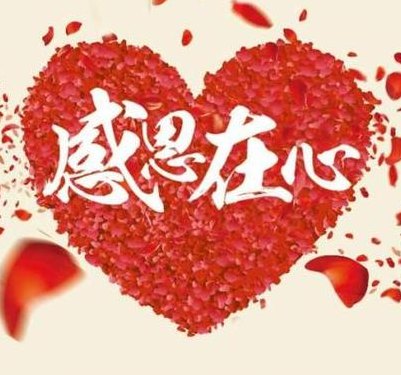 无以言表唯有感念于心（无以言表 唯有感念于心）