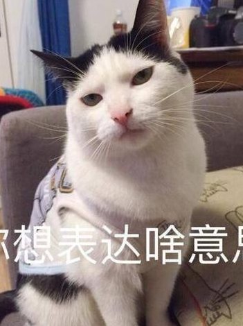 萌萌萌是什么意思（萌萌啥意思呀）