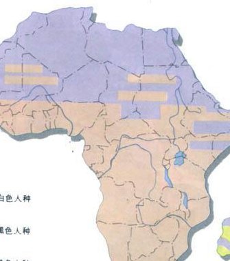非洲人配人种（非洲人种比例图）