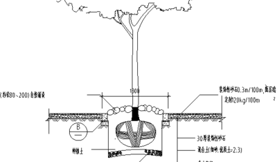 节点图（景观节点图）