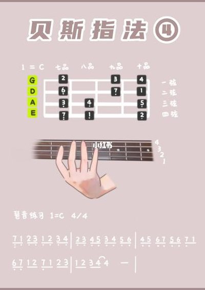 BBOX入门BASS（bbox入门口诀）