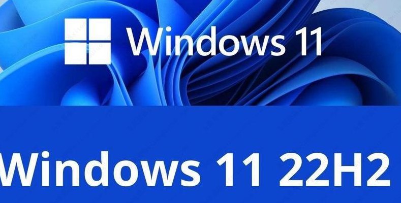 WIN11检测（Win11检测不到22H2更新）
