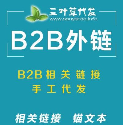 外链代发（b2b外链代发）