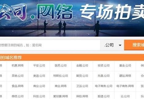 中文域名费用（中文域名费用多少钱一年）