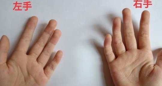 怎么分左右手图片（怎么分清左右手图片）