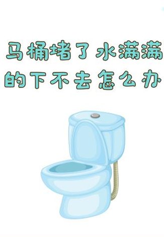 马桶堵了水下不去怎么办（马桶堵住了,水都下不去怎么办）