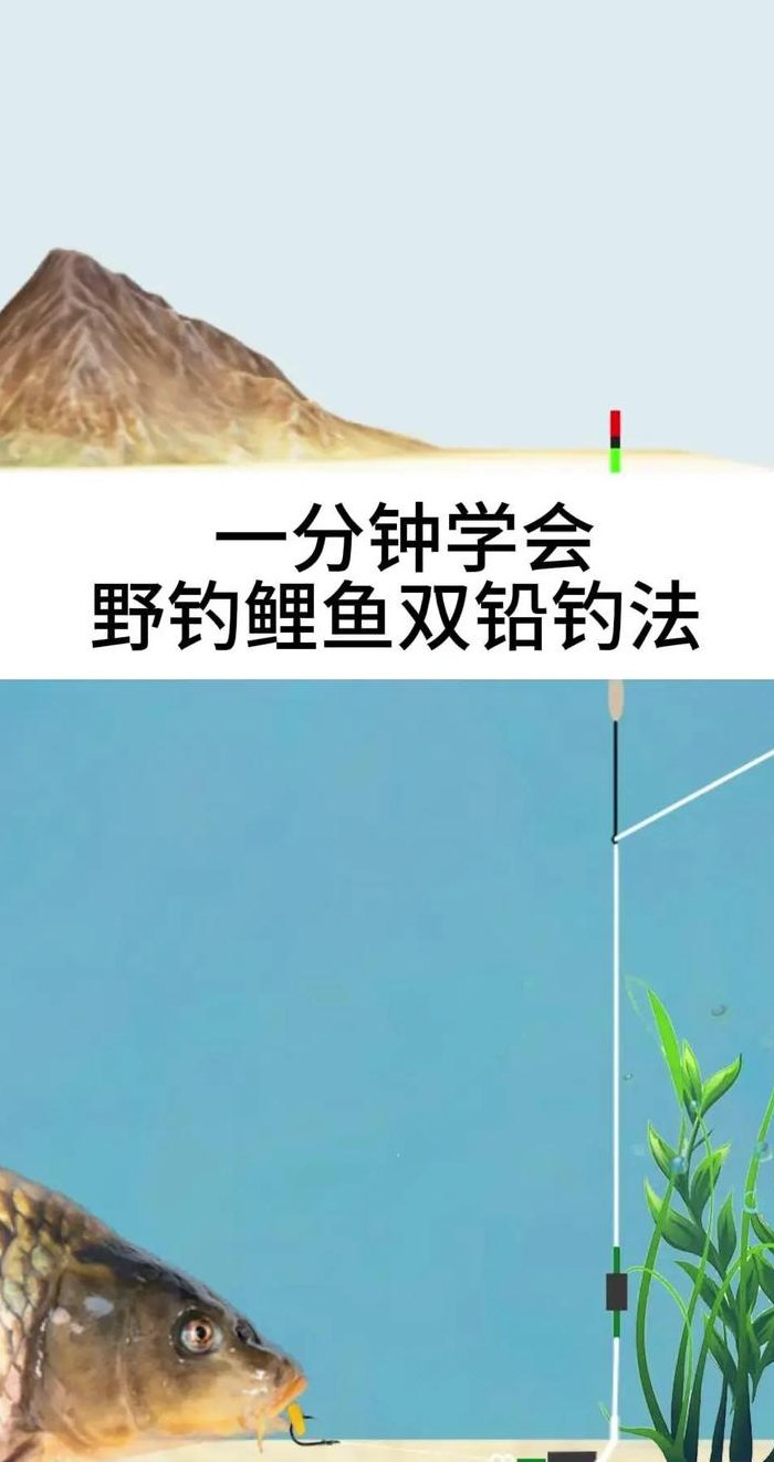 夏天夜钓鲤鱼技巧的简单介绍