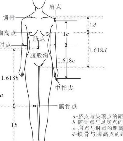 比例的各部分名称（比例的各部分名称示意图）