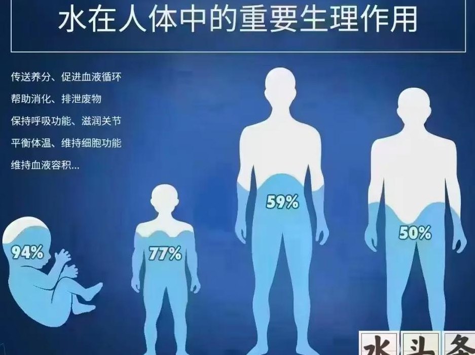 水的来源（人体内水的来源）