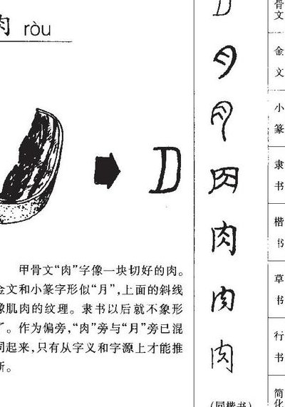 肉是什么结构的字（肉是什么结构的字体,部首是什么字）