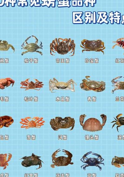 蟹的品种（蟹的品种大全及图片）