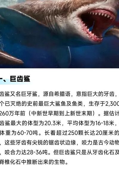 海底霸王（十大海底霸王）