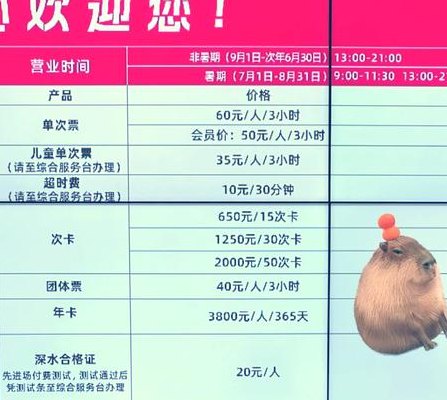 奥体游泳馆价格（奥体游泳馆价格多少）