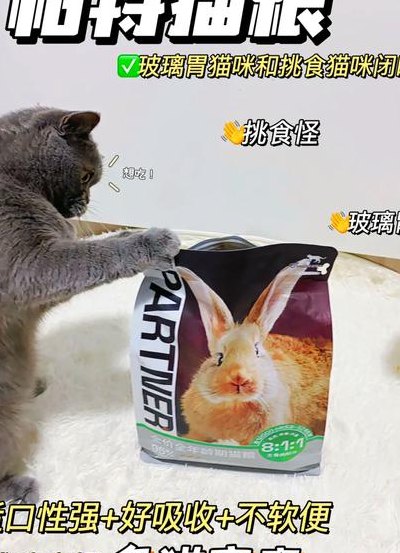 家里为什么不能养双猫（为什么家里不能喂双猫）