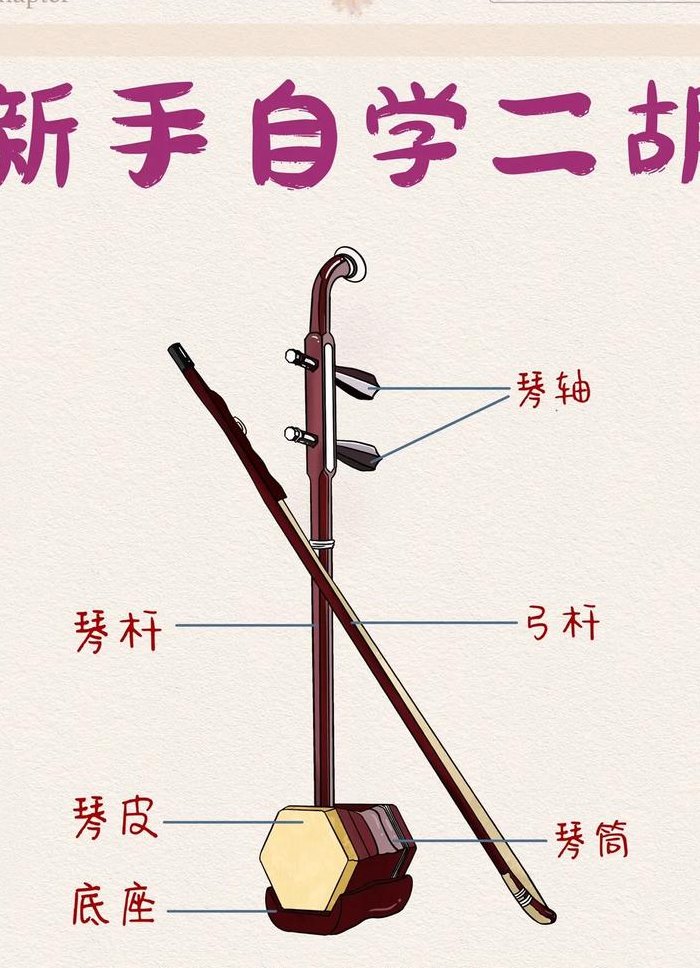 中老年学二胡（中老年学二胡入门视频教程）