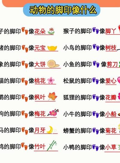 大象的脚印像什么（大象的脚印像什么形状一年级上册）