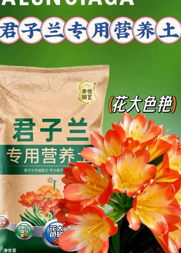 君子兰用什么土最好（君子兰用什么土最好养）