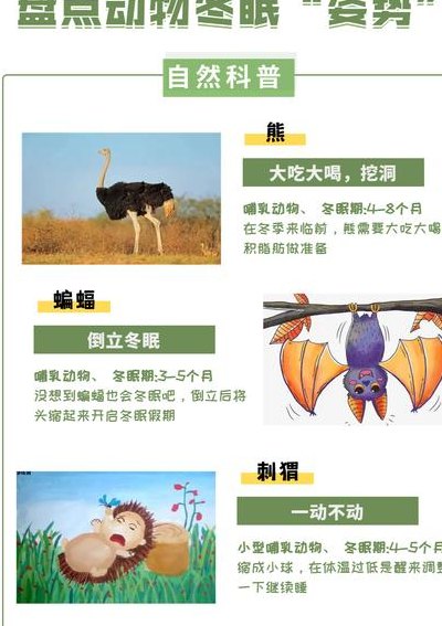 冬天都有哪些动物冬眠（冬天都有哪些动物冬眠的方式）