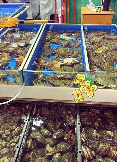 海鲜市场（海鲜市场是什么意思）