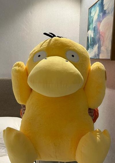 可达鸭是什么意思（可达鸭是什么种类）