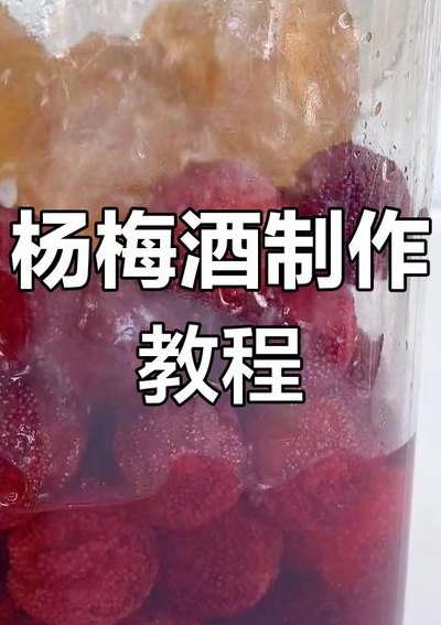新鲜杨梅怎么洗（新鲜杨梅怎么洗了泡酒呢）