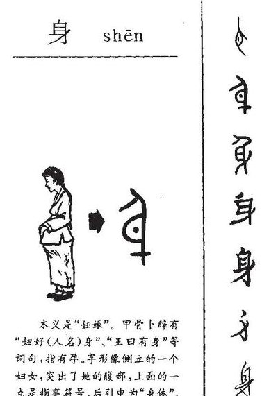 身字旁的字（身字旁的字有32个）