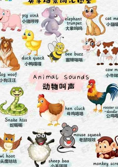 老鼠的叫声（老鼠的叫声英语）