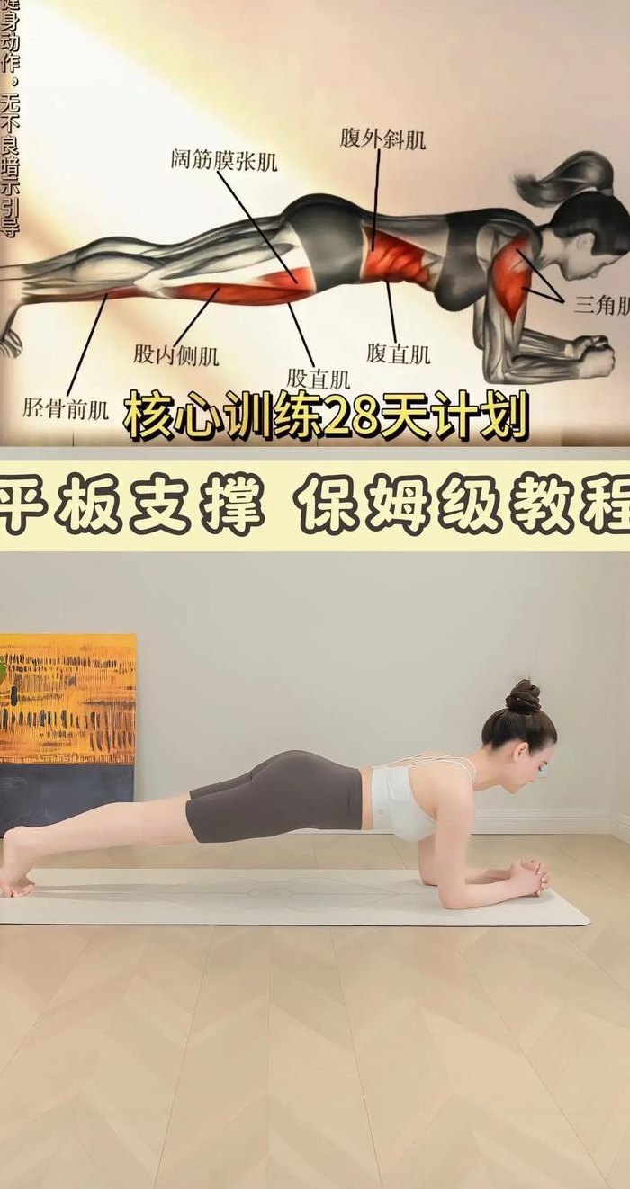 平板支撑锻炼哪些肌肉（平板支撑锻炼哪些肌肉群）
