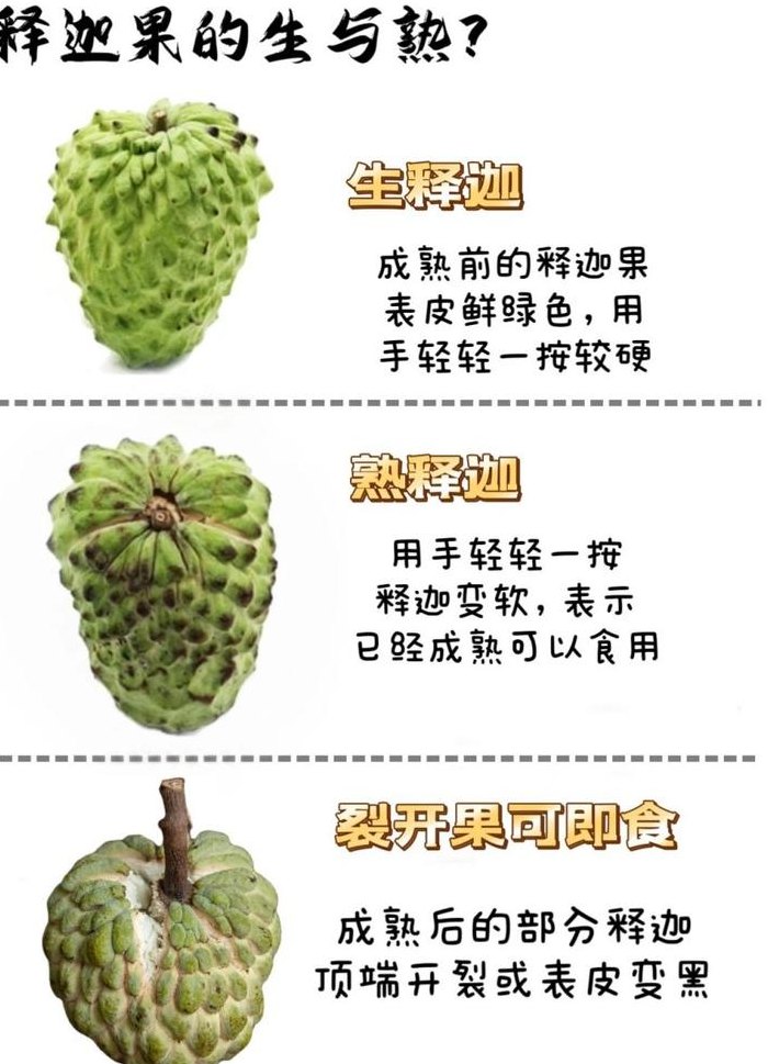 释迦果怎么吃图解（释迦果怎么吃有什么好处）