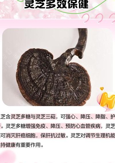 灵芝多糖的作用与功效（灵芝的效果作用与功效与作用）