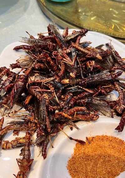 爬蚱的做法（蚱爬子怎么做）