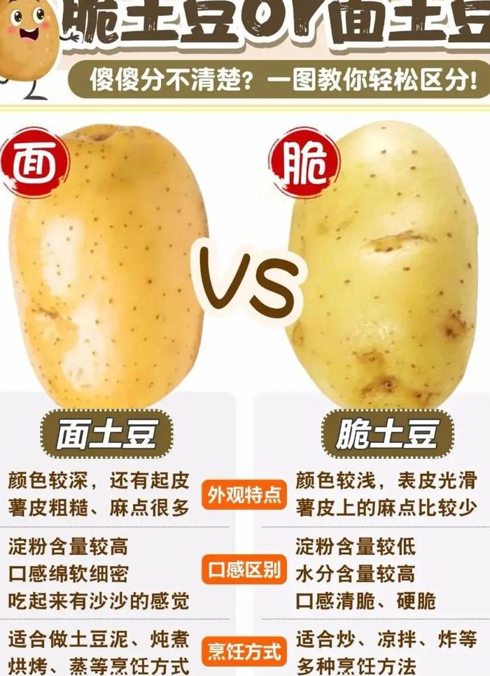 马铃薯是土豆吗（马铃薯是红薯吗）